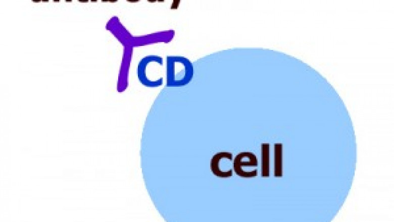 Cell Surface Marker Market Size, Share & Industry Analysis