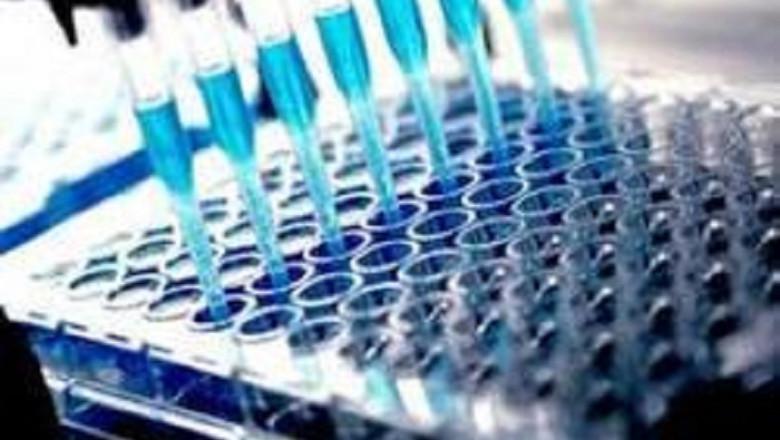 Endotoxin Tests Market Analysis, Demand, Strategies, Forecast including covid19 Impact