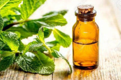 Global Herbal Extracts Market Size Prognosticated to Observe a Living Growth by 2027 performed by a new report | Martin Bauer, Indena, Euromed