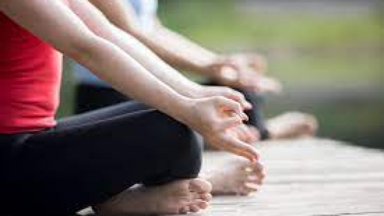 Mindfulness Center The Green Heart | mindfulzijn