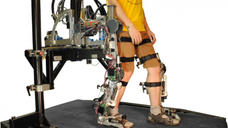 Rehabilitation Robots Market Share, Growth Insight, Size and Global Forecast