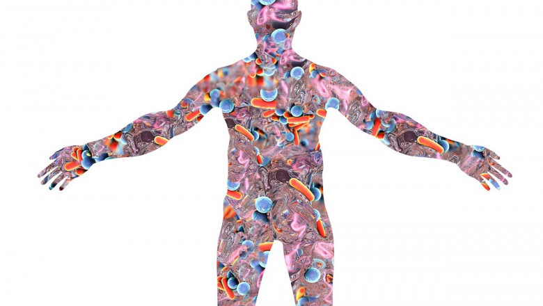 Human Microbiome Market Forecast to 2028 and Global Analysis