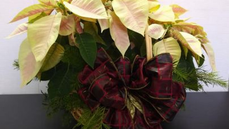 Best Online Flower Delivery