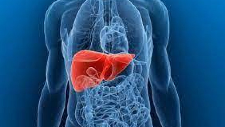 Liver Diseases Therapeutics Market Research Report