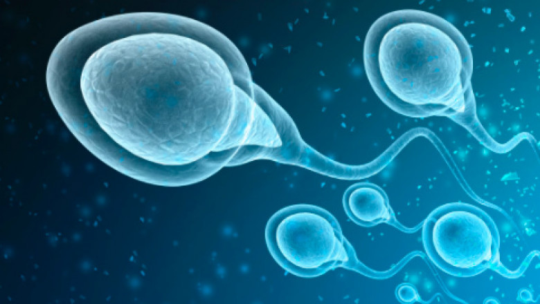 Sperm Count Test Market To Cross Valuation Of US$ 3.2 Bn By 2031: Transparency Market Research