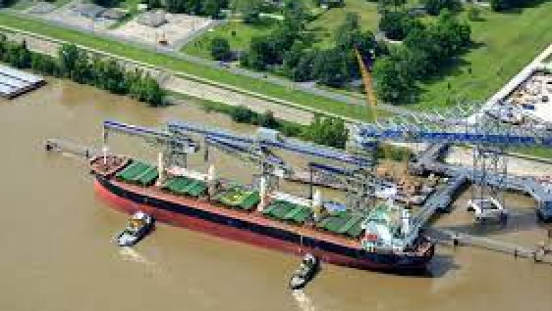 Bulk Terminals Market Recent Trends, Size and Forecast