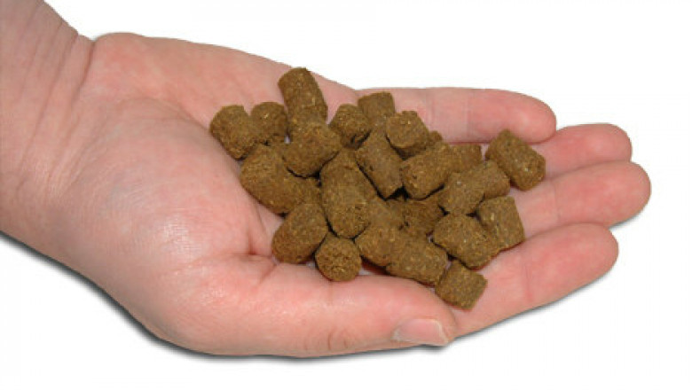 Fish Protein Concentrate Market: Competitive Strategies And Forecasts to 2019