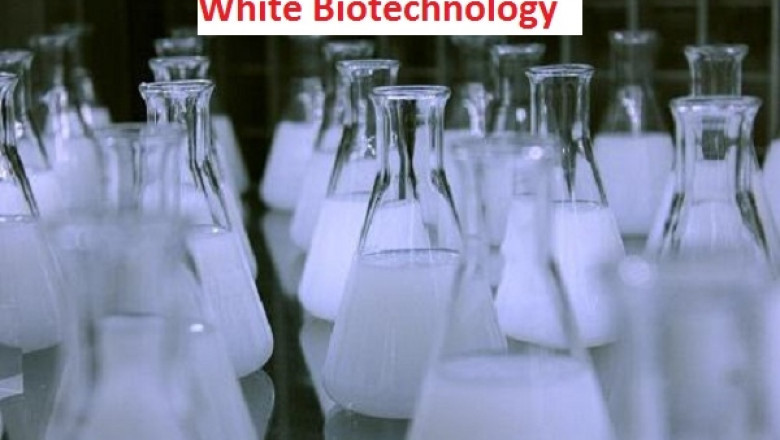 White Biotechnology Market: Industry Analysis and Forecast