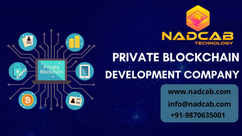 Private Blockchain Development Examples