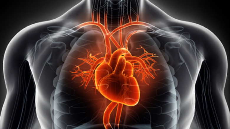 Heart Valve Repair and Replacement Market 2021 Top Growing Companies Analysis and Segmentation Outlook till 2028