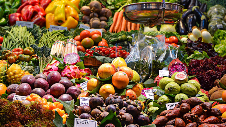 Organic Acids Market Size - Industry Share Report 2022