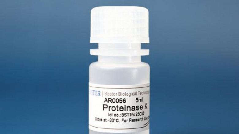 Proteinase K Market: Global Industry Analysis and Opportunity Assessment