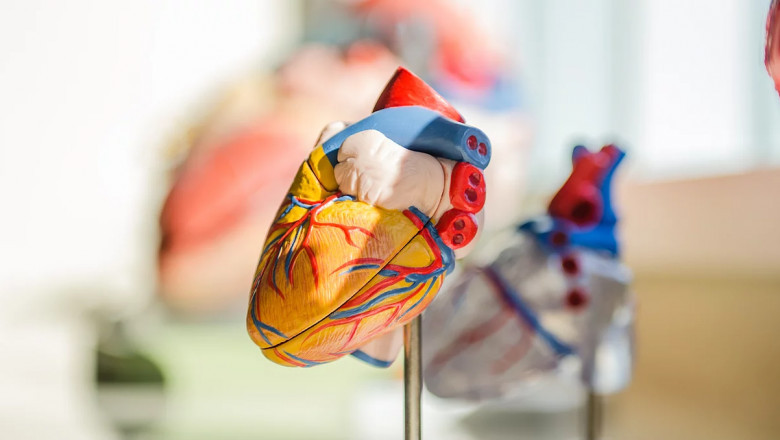 heart specialist singapore