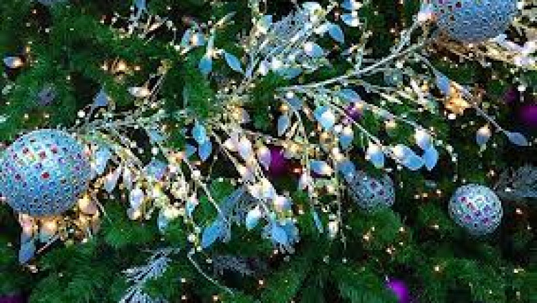 Make your Halloween Party a real fun!