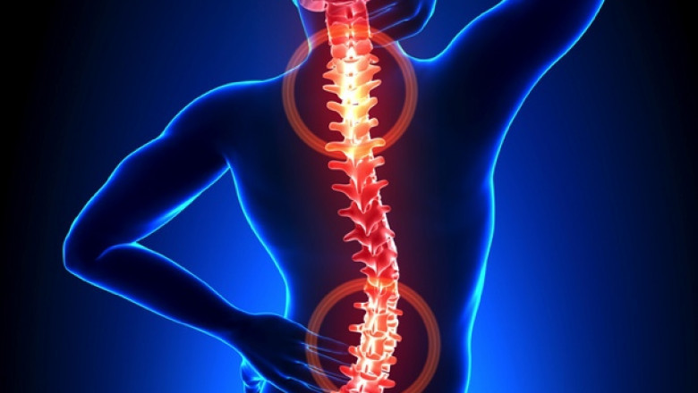 Middle East and Africa Neuropathic Pain Market 2021: Challenges, Drivers, Analysis, Industry Share and Forecast 2028