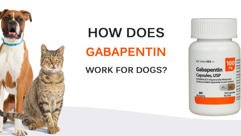 How does Gabapentin work for dogs? Gabapentin Strength for Dogs