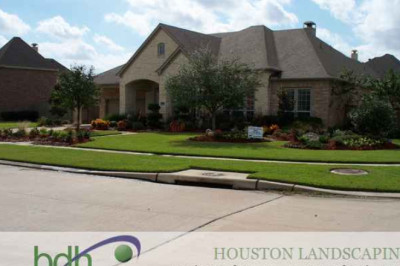 Best Spring Landscaper | Affordable Backyard Landscaping