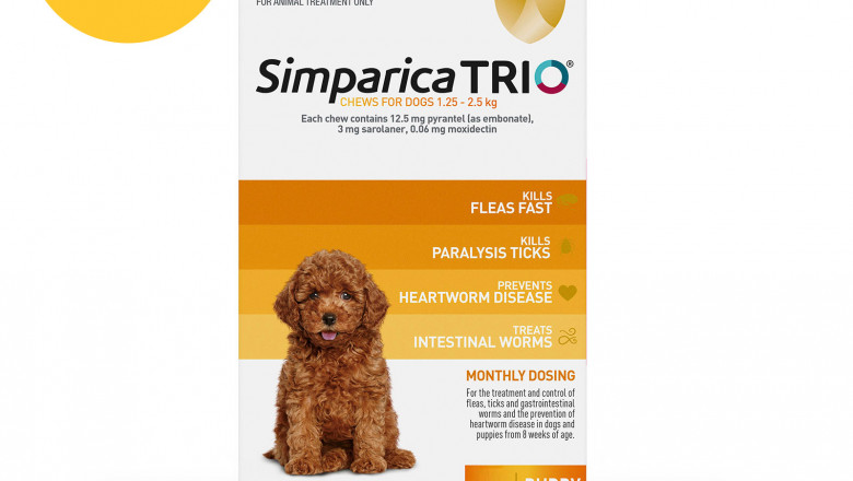 Black Friday & Cyber Monday Sale 2021 | Shop Best Deal At DiscountPetCare