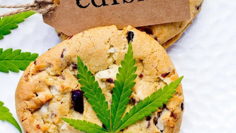 Clipper Lighters – The Best Way to Lighten Up Your Blunt