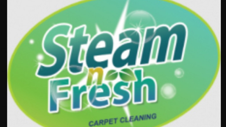 Why Everyone Must Hire A professional Carpet Cleaning Company