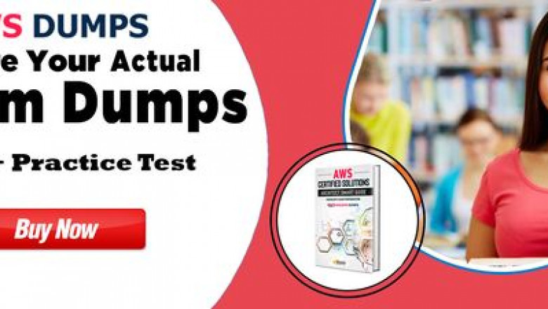 Amazon DOP-C01 Dumps Questions Answers