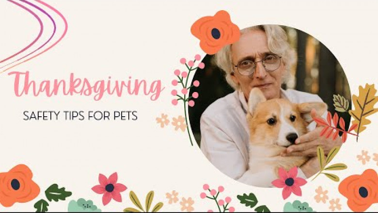 Thanksgiving Safety Tips For Pets - Pet Parent Guide 2021