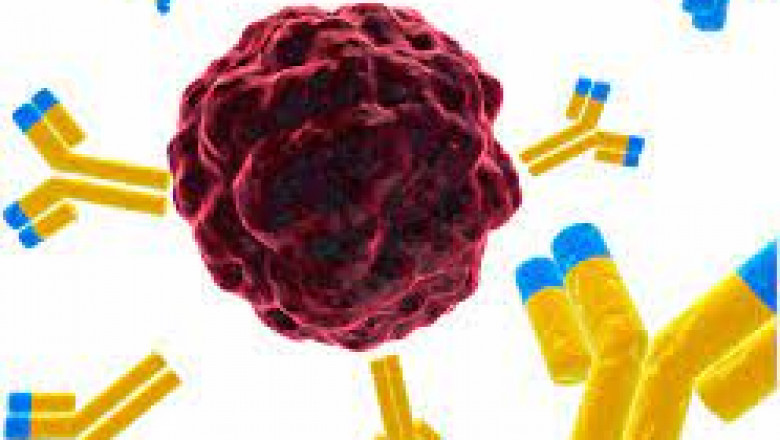Targeted Immunotherapy Uses Antibody Drug Conjugates (Adcs)
