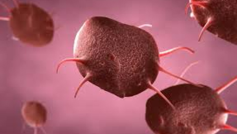 The Rising Cancer Prevalence Is Predicted To Increase The Number Of Chemotherapy Operations, Resulting In Chemotherapy-Induced Thrombocytopenia Therapeutics.