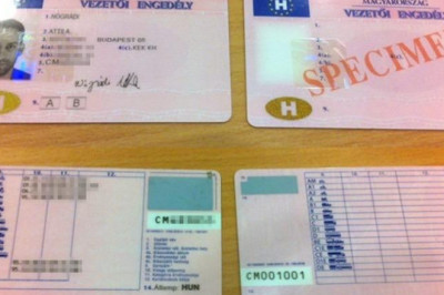 Professional driver license validity telegram contact @loyaltyworth