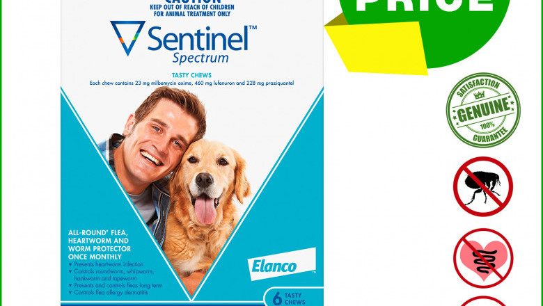SENTINEL Spectrum Worm Flea Treatment 6 Chews for Dogs 22 to 45 Kg