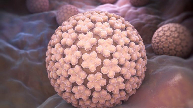 If Warts Aren't Causing Discomfort, You Might Not Need Genital Warts Treatment.