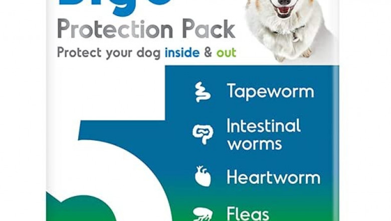BIG 5 Protection Pack for Medium Dogs 5.5kg - 11.0kg