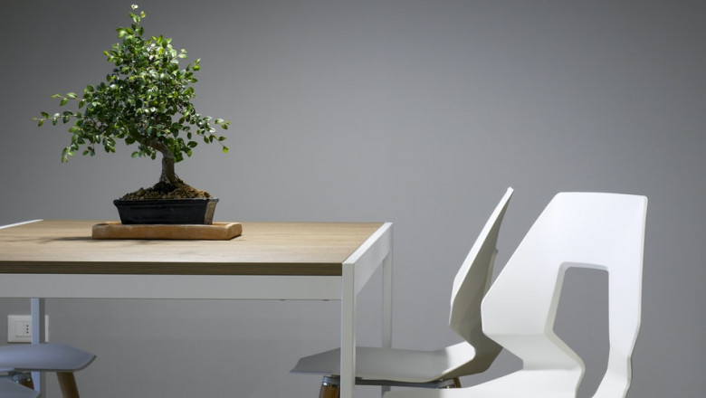 Reason to choose solid timber furniture
