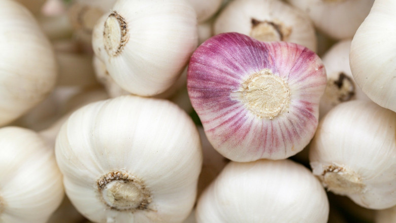 Dehydrated Garlic Market: Global Industry Analysis 2027