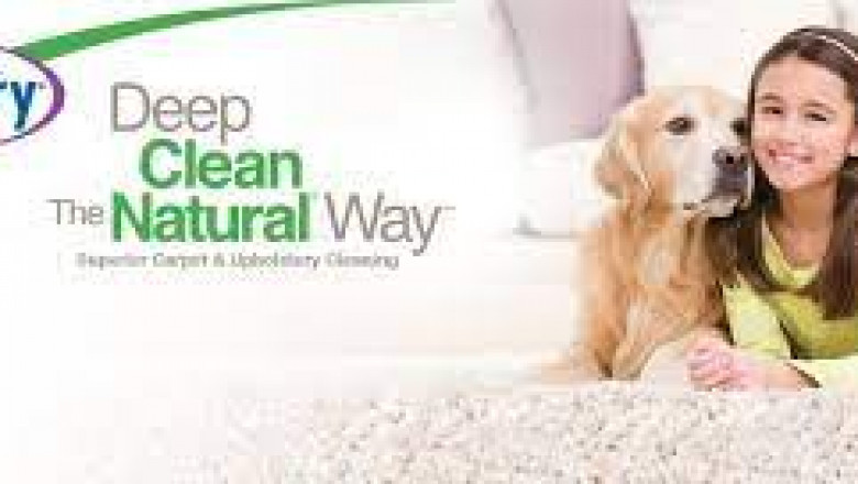 Carpet Cleaners Kansas City Mo