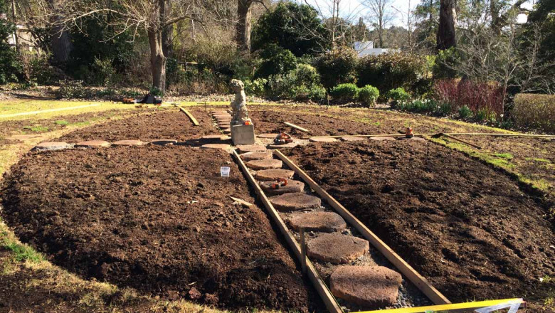 Maintain Your Garden with Semms Property Services