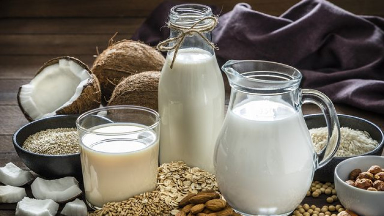 Everything You Need to Know About Milk
