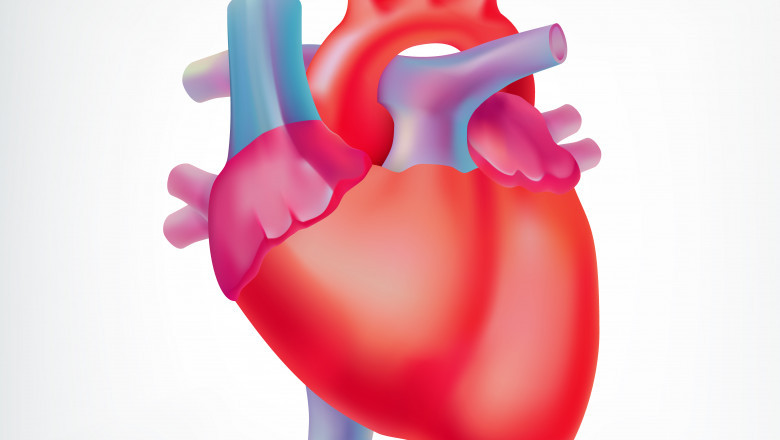Cardiac Catheterization Lab Director Mailing List