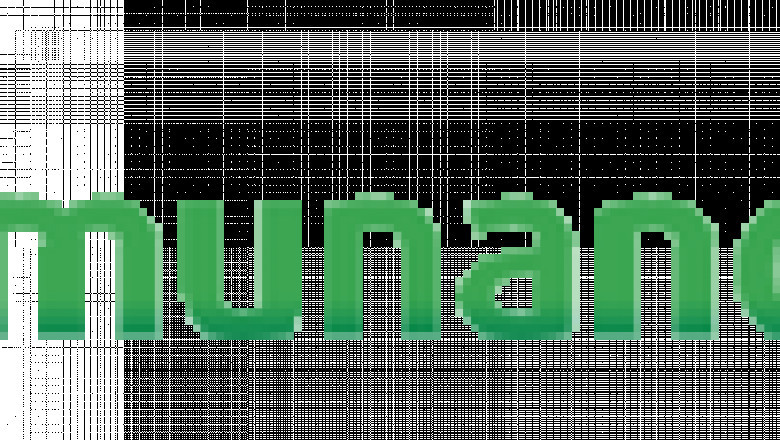 PEO in India | Employer of Record (EOR) Services in India | Co-employment Services