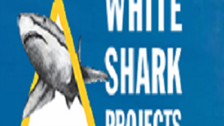 Shark Diving for disabled