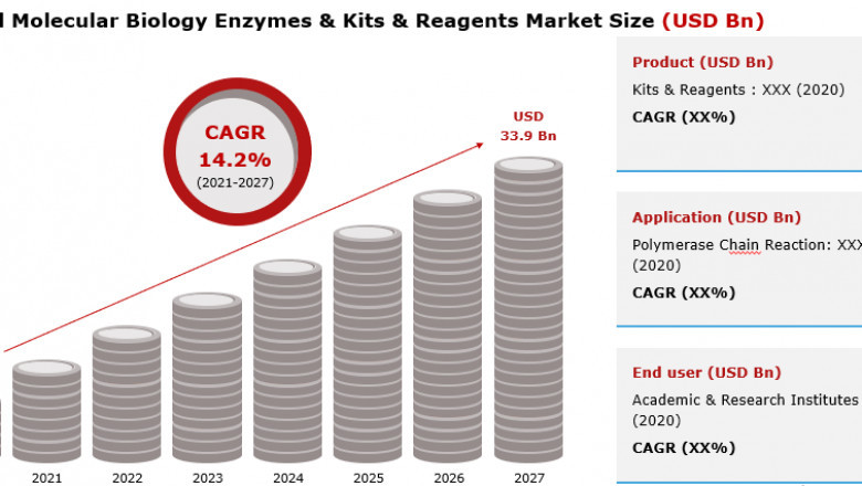 Global Opporunities in Molecular Biology Enzymes and Kits & Reagents Market 2021-2027 by Revenue Statistics and Key Growth Strategies to 2027