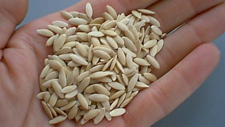 Over The Forecast Period, This Is Expected To Fuel The Growth Of The Organically Grown Cucumber Seeds Market