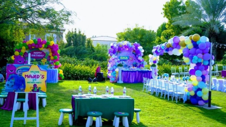 Birthday Party Decorations - 001
