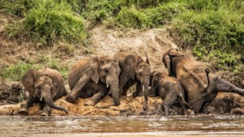 Family Tours South Africa