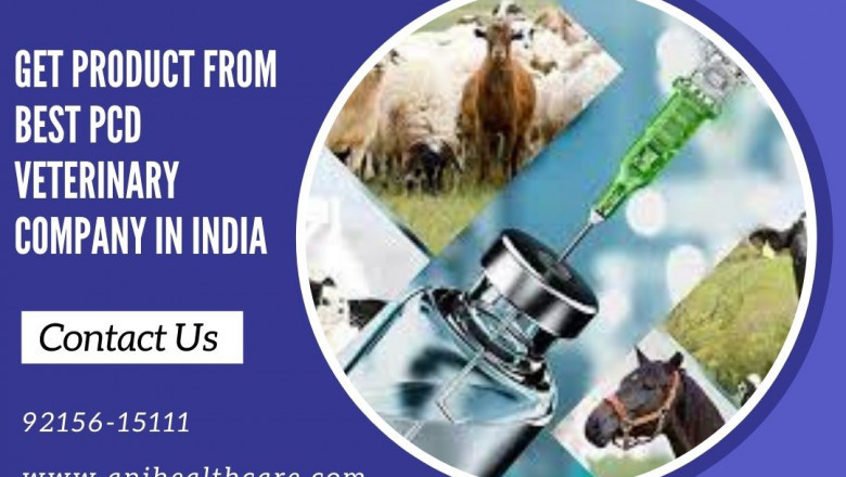 PCD Veterinary Company in India