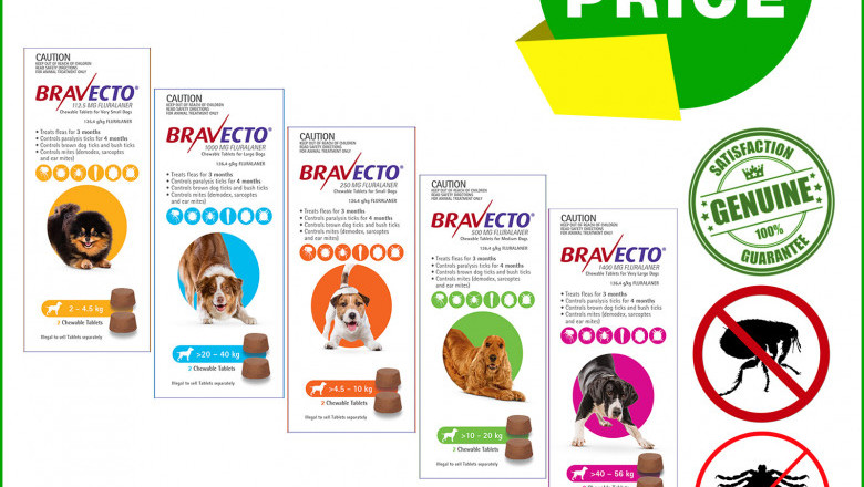 BRAVECTO 2 Chews for Dogs 3 months Tick and Flea Protection