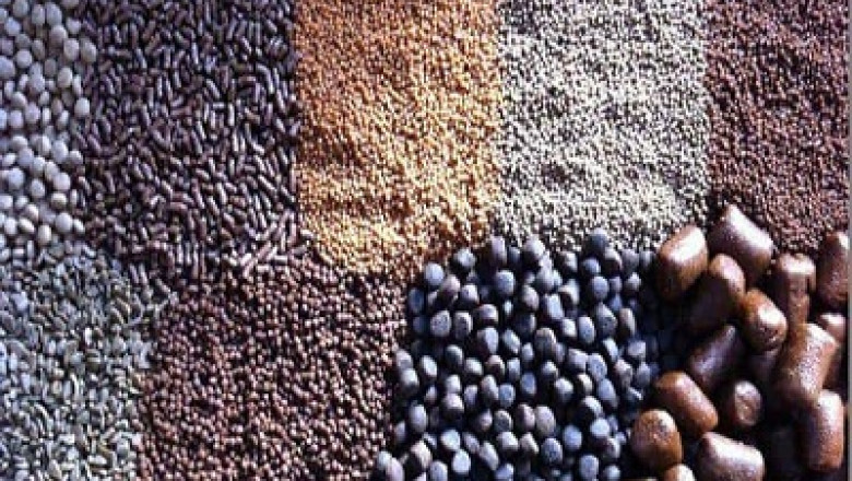 Global Aquafeed Market Size, Share, Growth, Trend & Forecast 2025