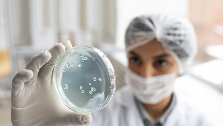 In tissue diagnostics, samples of tissue are examined for integrity.