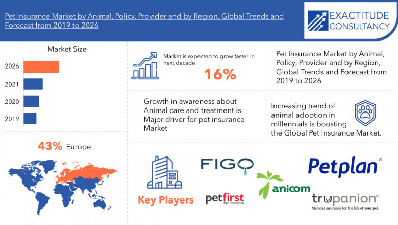 Pet Insurance Global Market Rising Trends and Business Opportunities