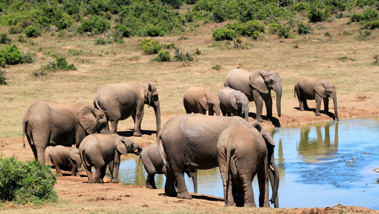 The Eastern Cape is worth a visit